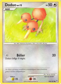Doduo
