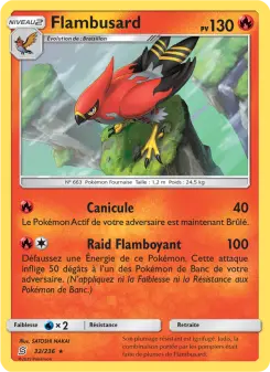 Flambusard