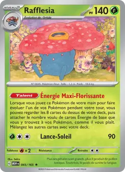 Rafflesia