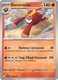 Darumacho