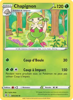 Chapignon